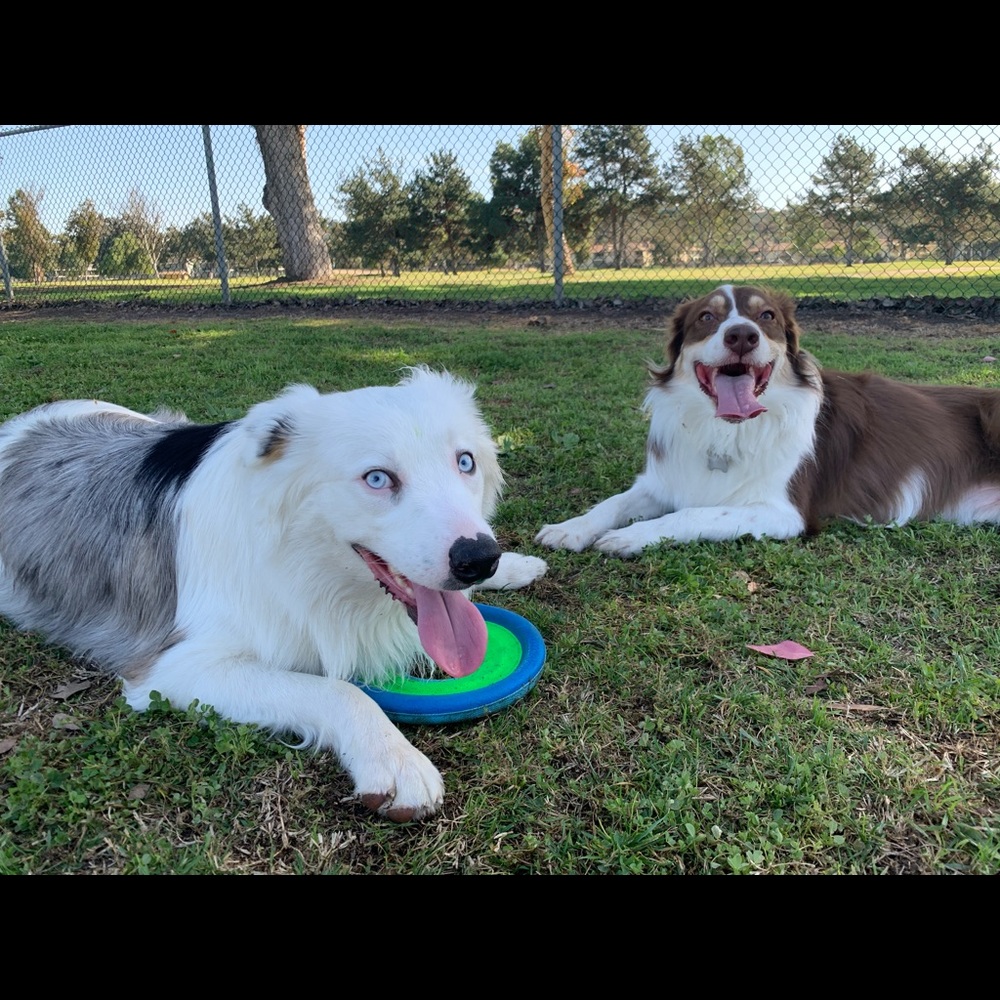 Meet your Posher, Charleston